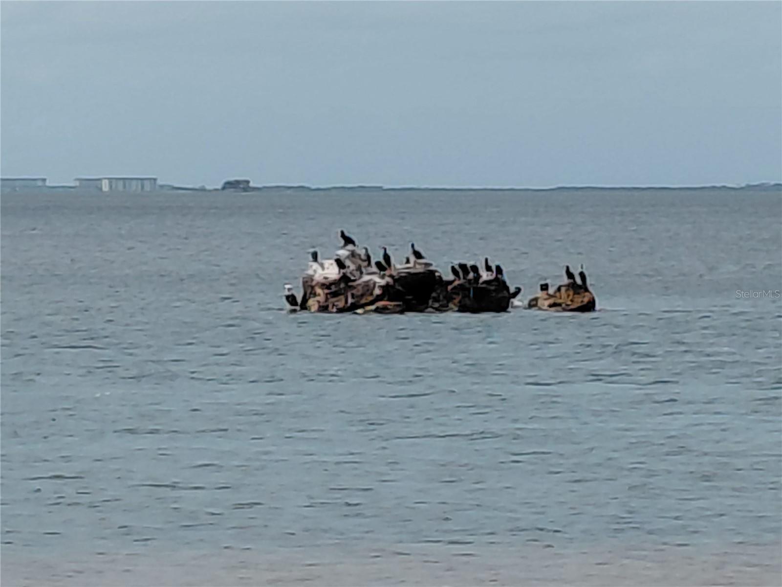 Tarpon Springs, FL 34689