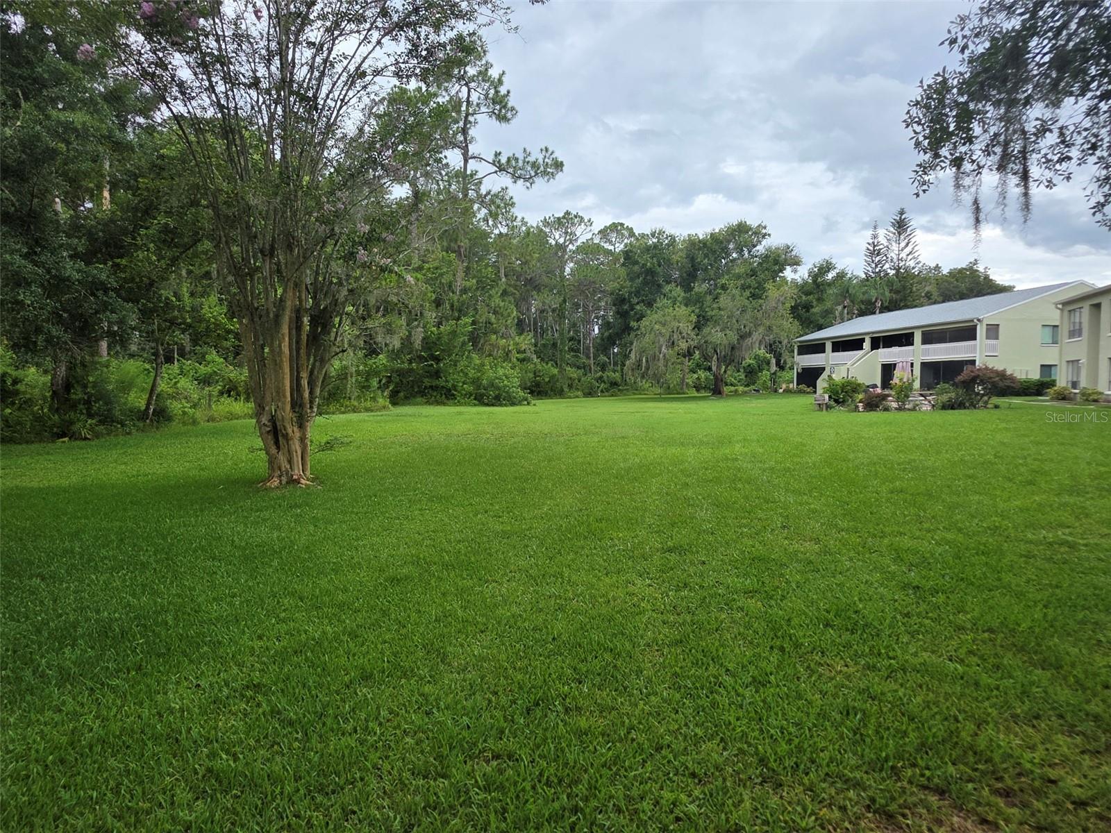 1781 Samurai Point #P9, Lutz, FL 33558