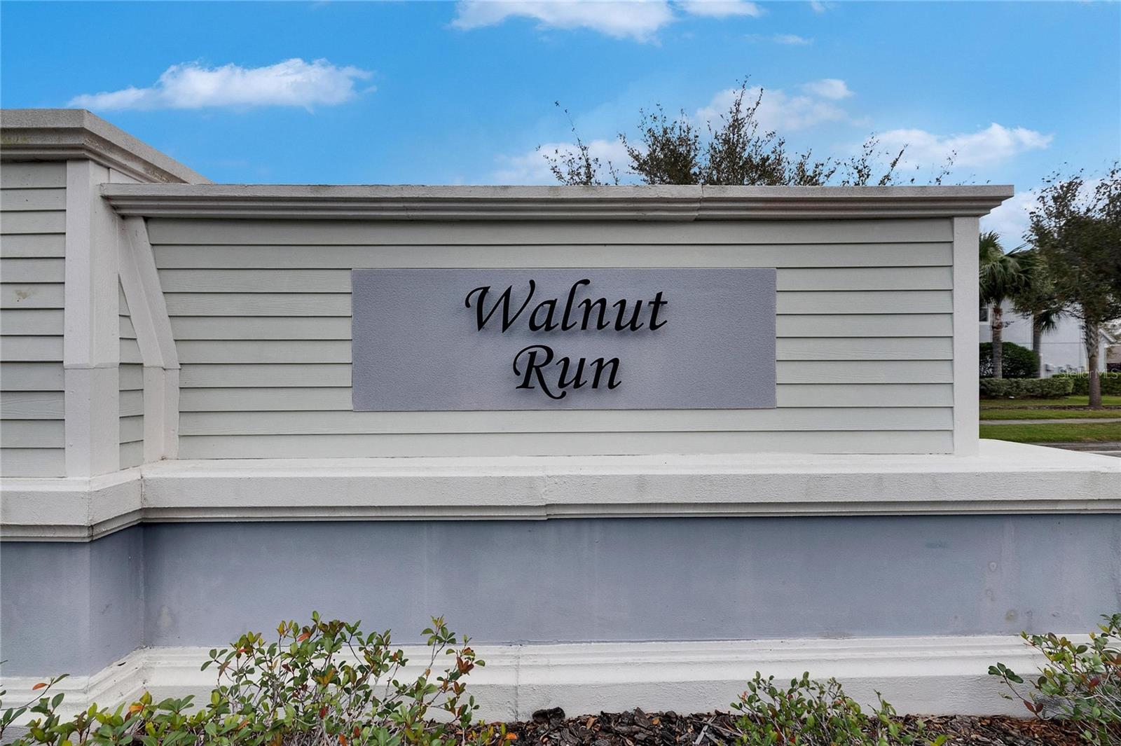 10328 Celtic Ash Dr, Ruskin, FL 33573