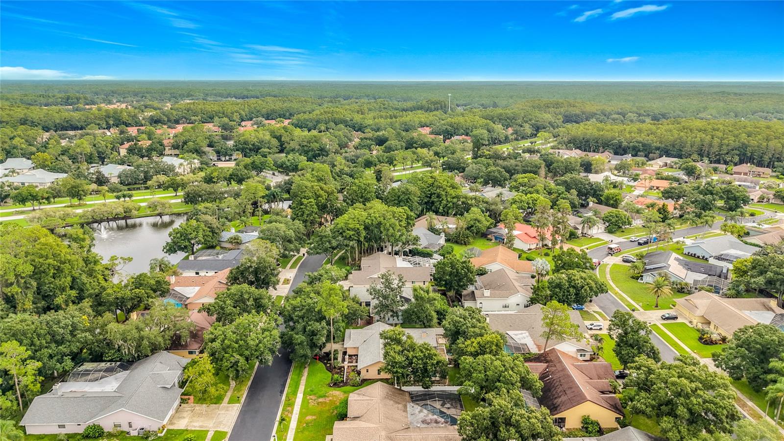 3097 Edgemoor Dr, Palm Harbor, FL 34685