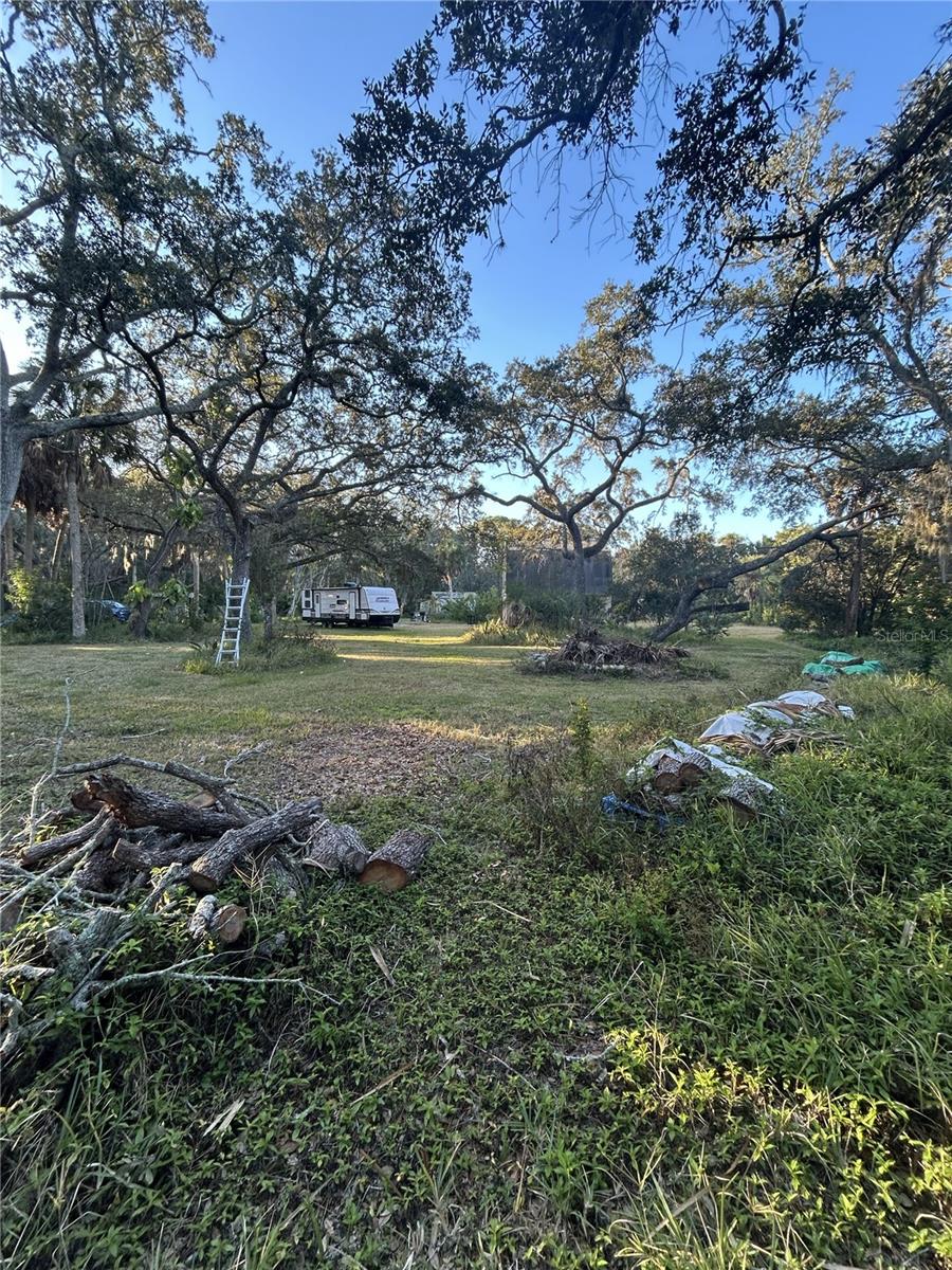 14428 Guava St, Hudson, FL 34667