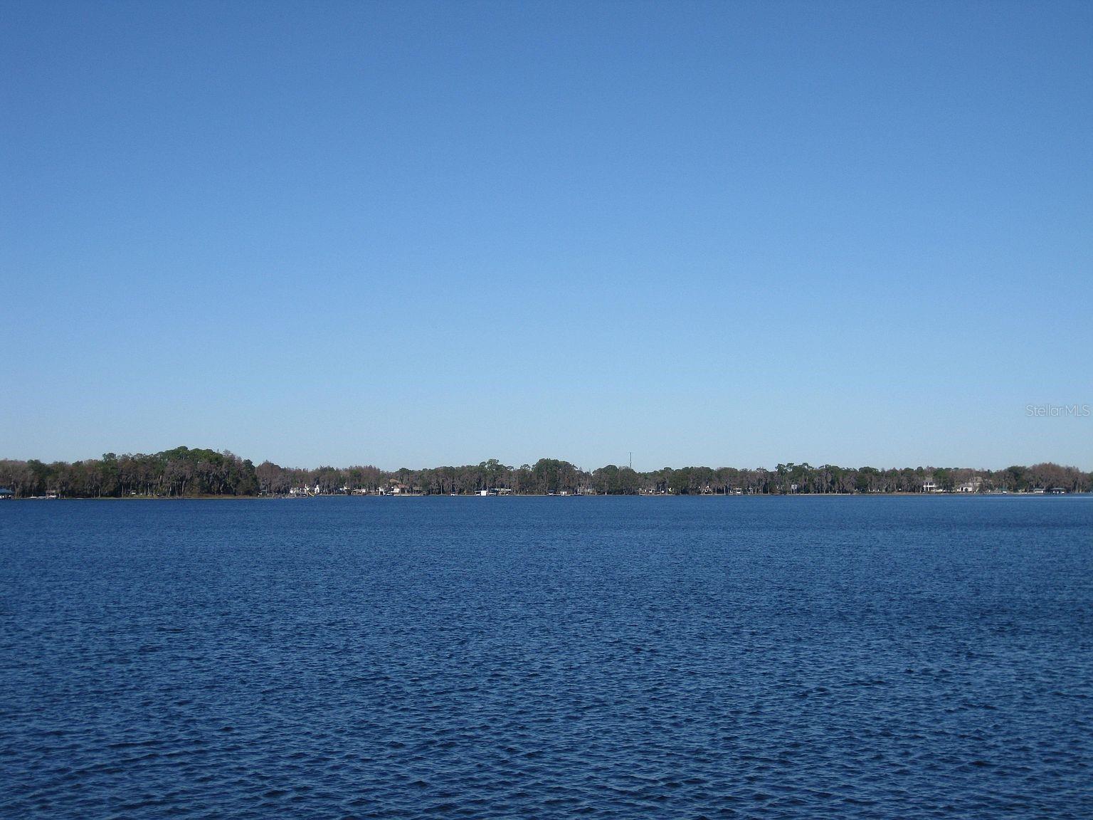 18618 Wayne Rd, Odessa, FL 33556