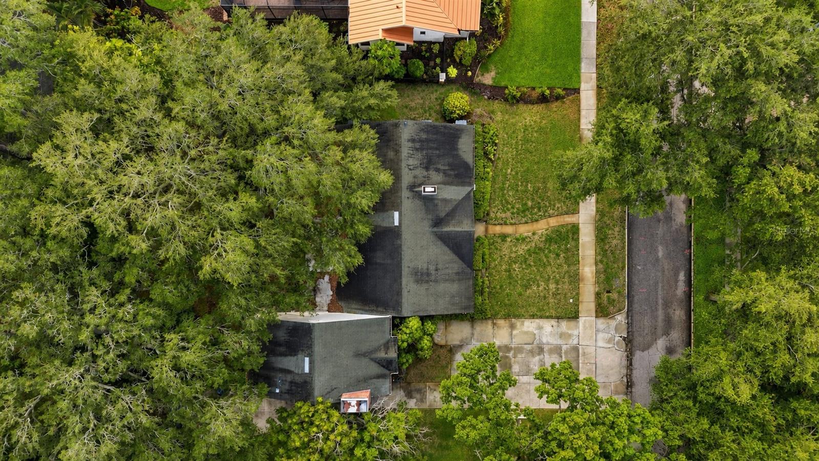3123 W Oaklyn Ave, Tampa, FL 33609