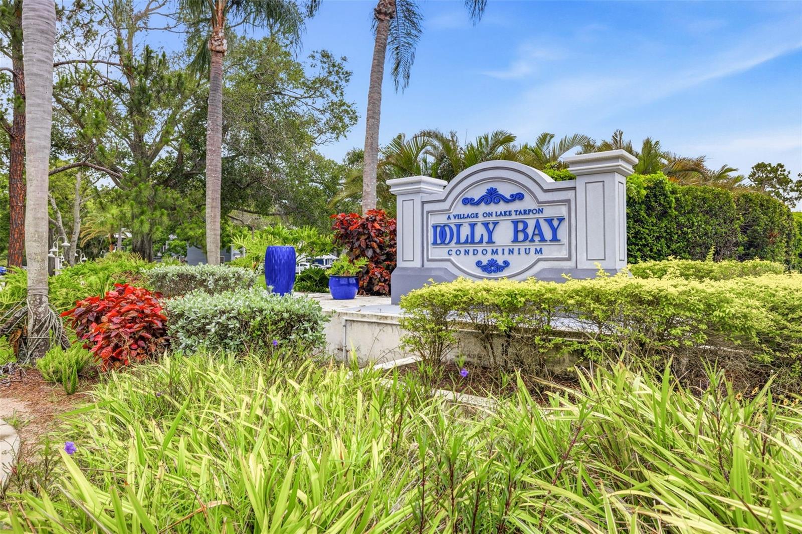 2533 Dolly Bay Dr #105, Palm Harbor, FL 34684
