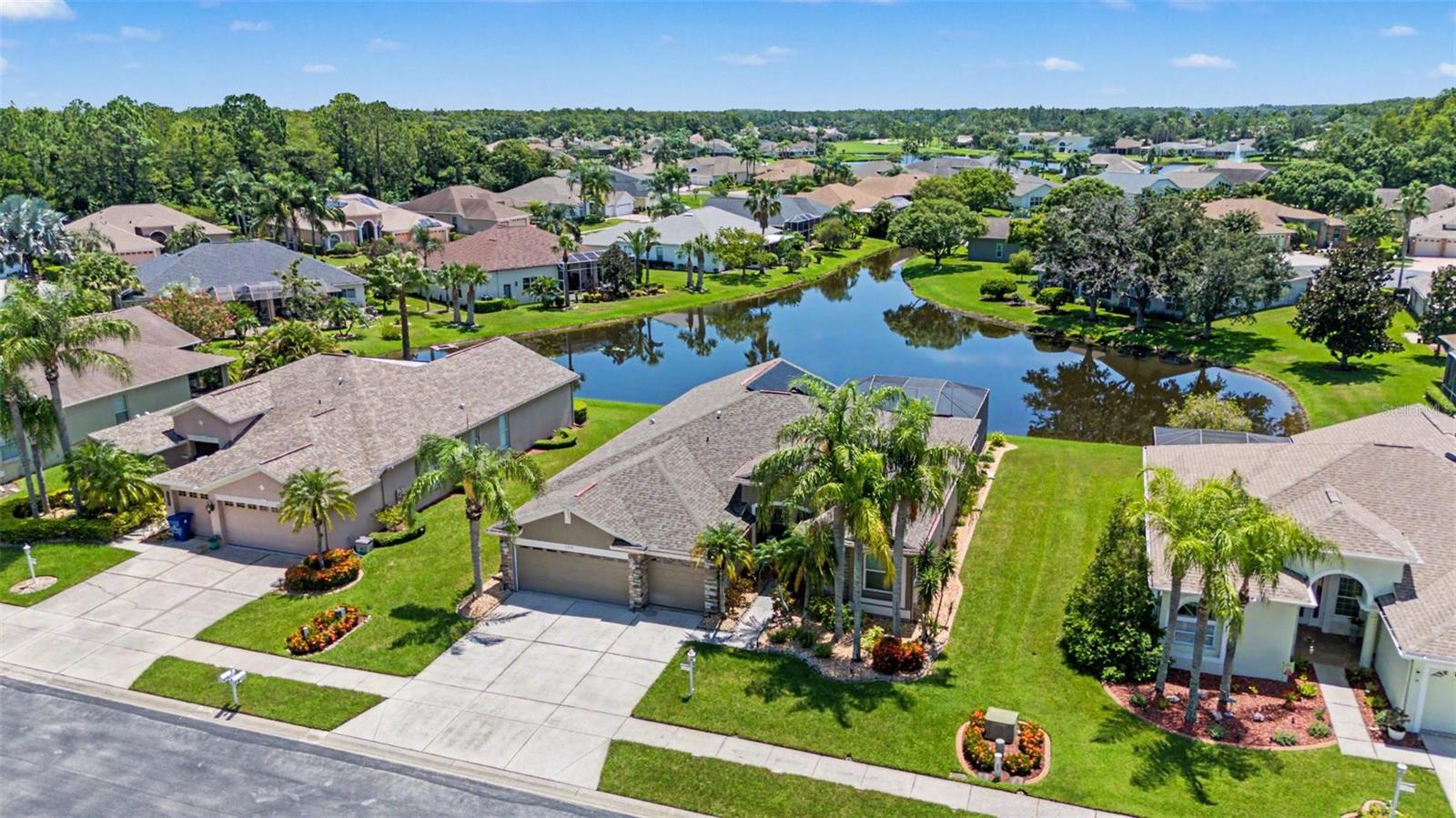 11230 Wedgemere Dr, Trinity, FL 34655