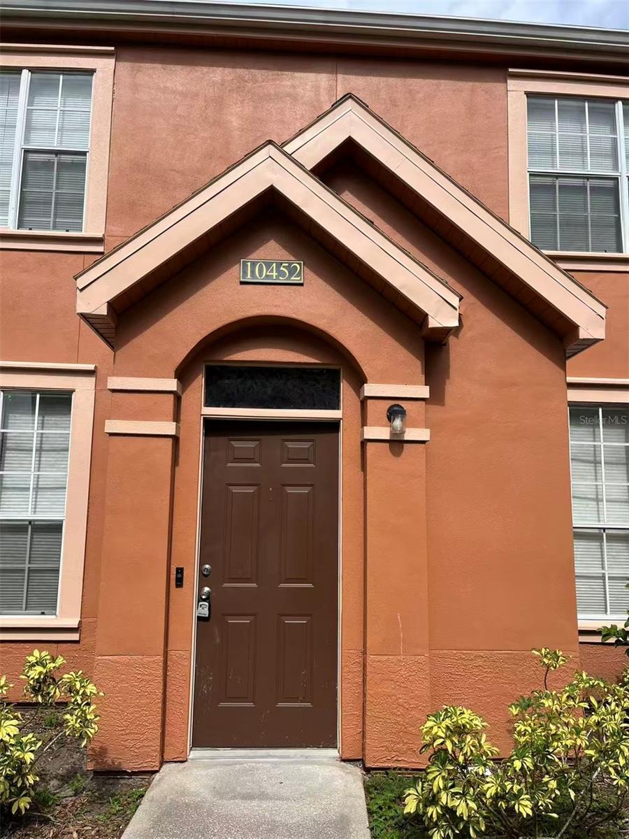 Tampa, FL 33626