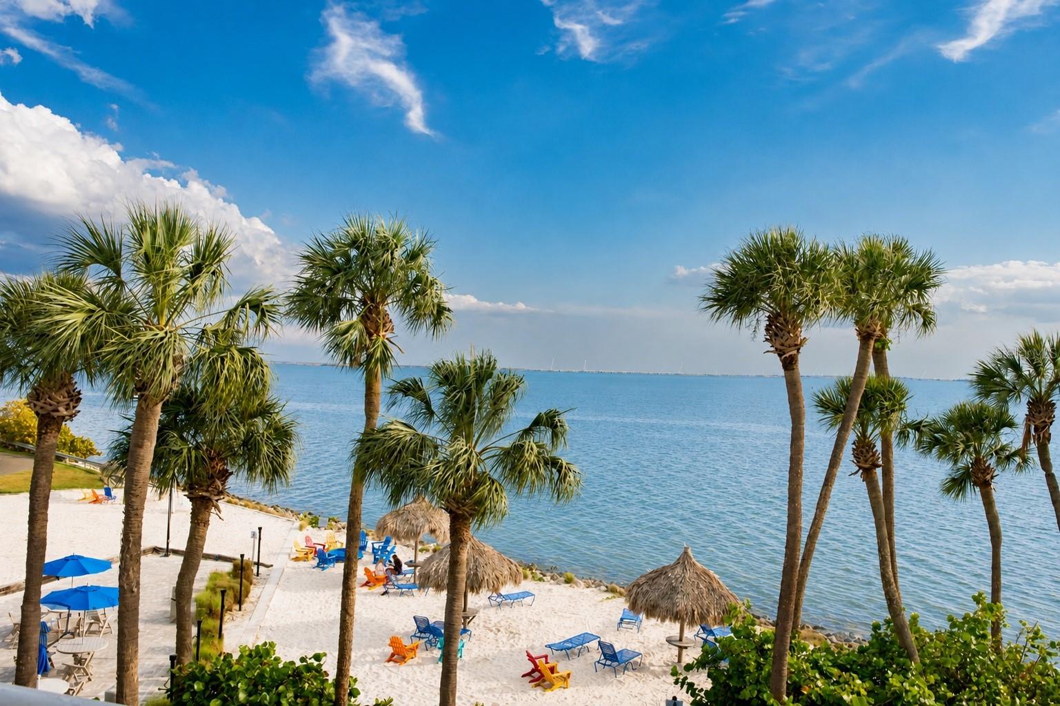2506 N Rocky Point Dr #331, Tampa, FL 33607