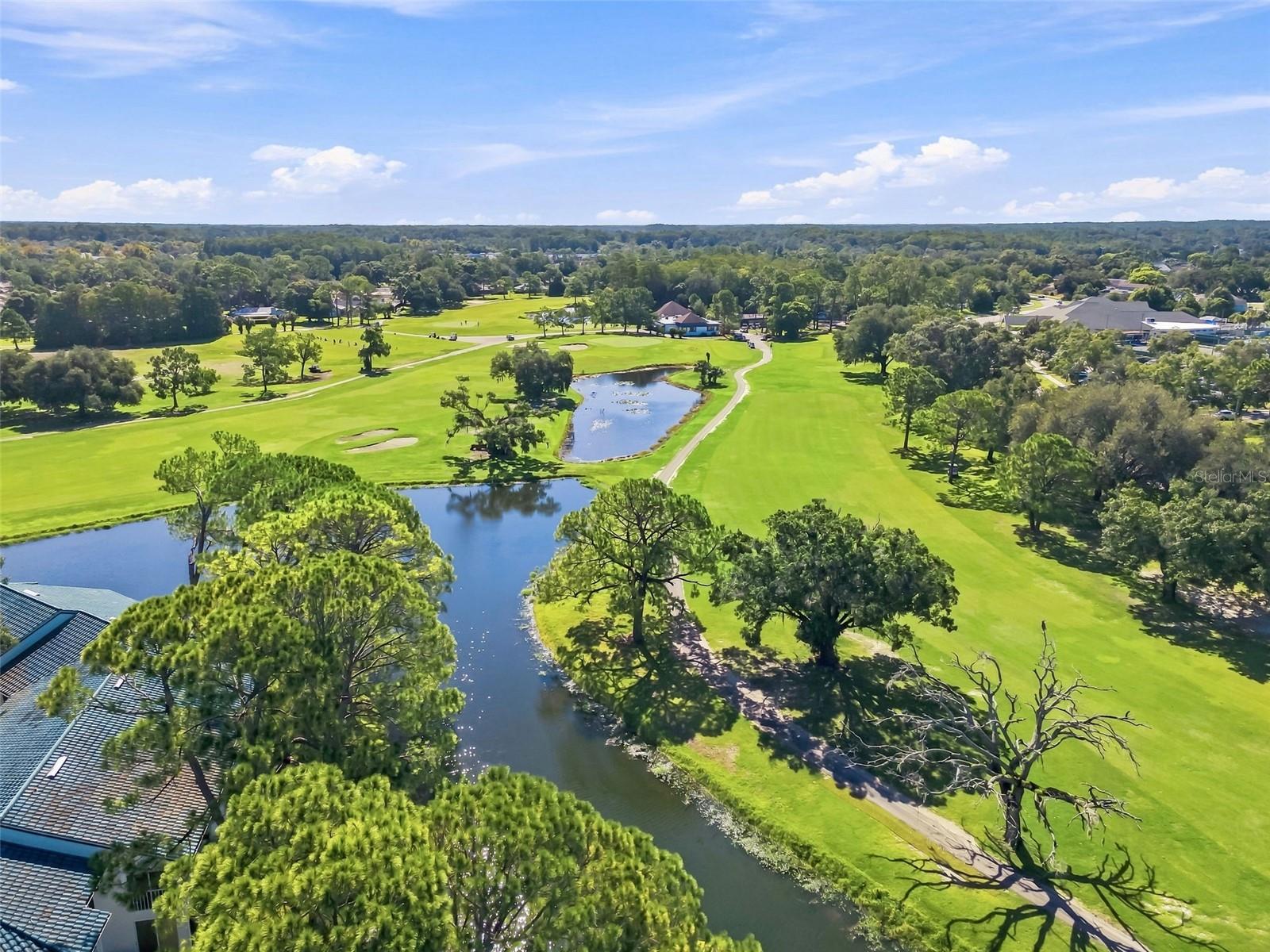 3587 Indigo Pond Dr #3587, Palm Harbor, FL 34685