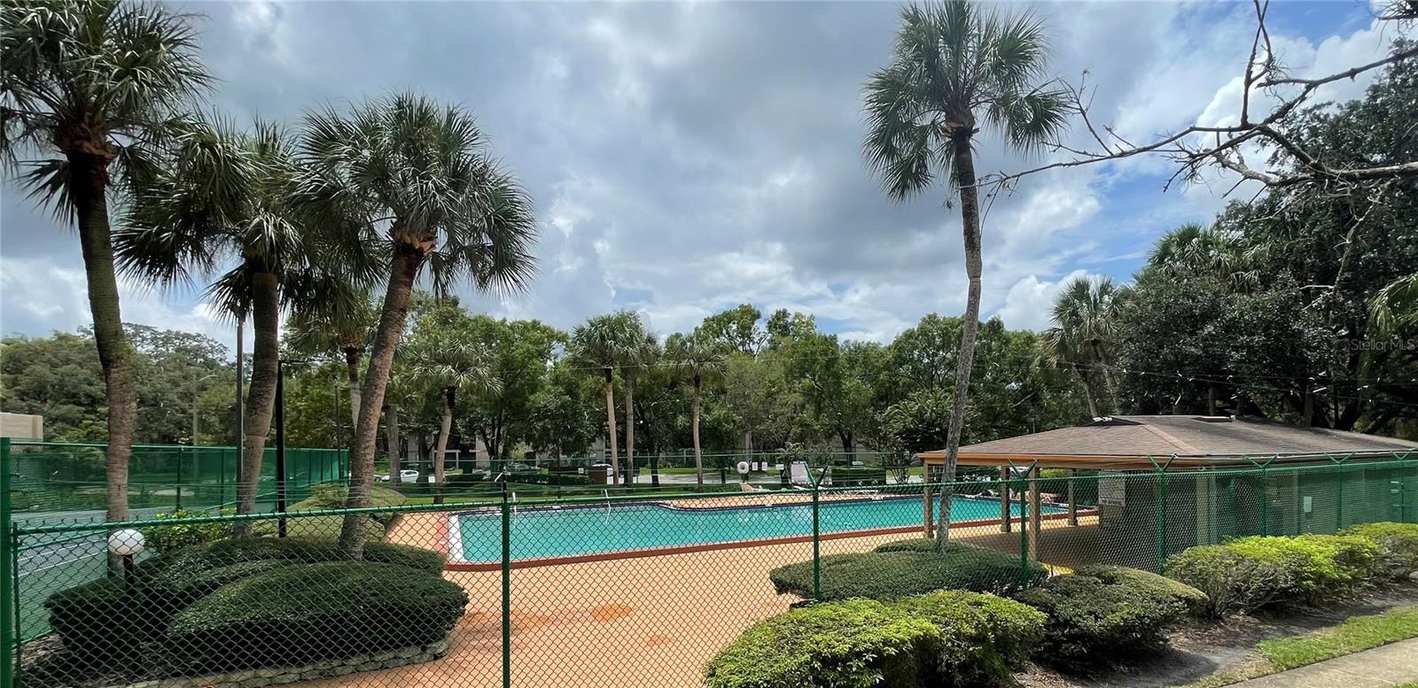 14308 Hanging Moss Cir #101, Tampa, FL 33613