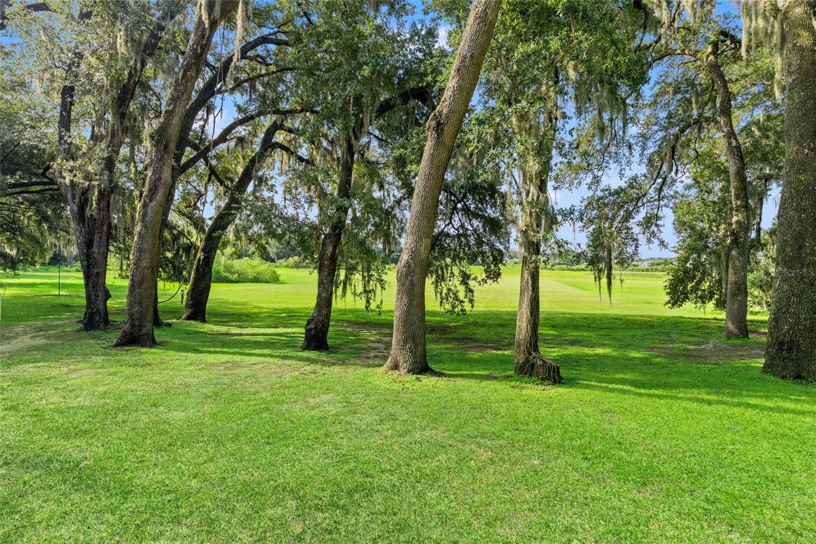 14050 Grandeur Way, Dade City, FL 33525