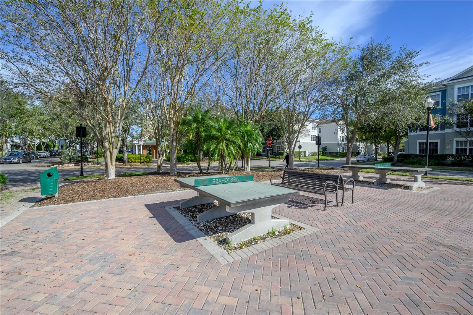 10332 Abbotsford Dr, Tampa, FL 33626