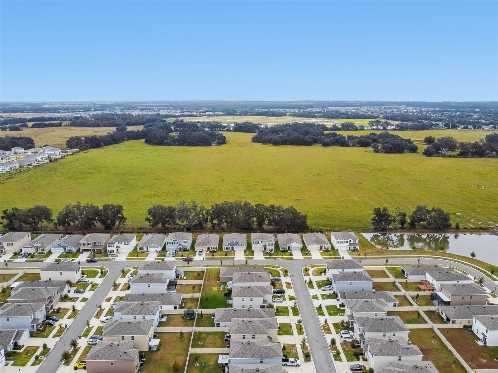 5667 Chorleywood Ln, Wesley Chapel, FL 33545