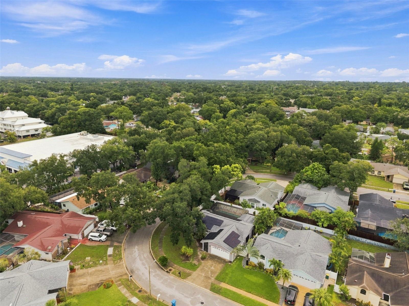 2475 Gulfbreeze Cir, Palm Harbor, FL 34683