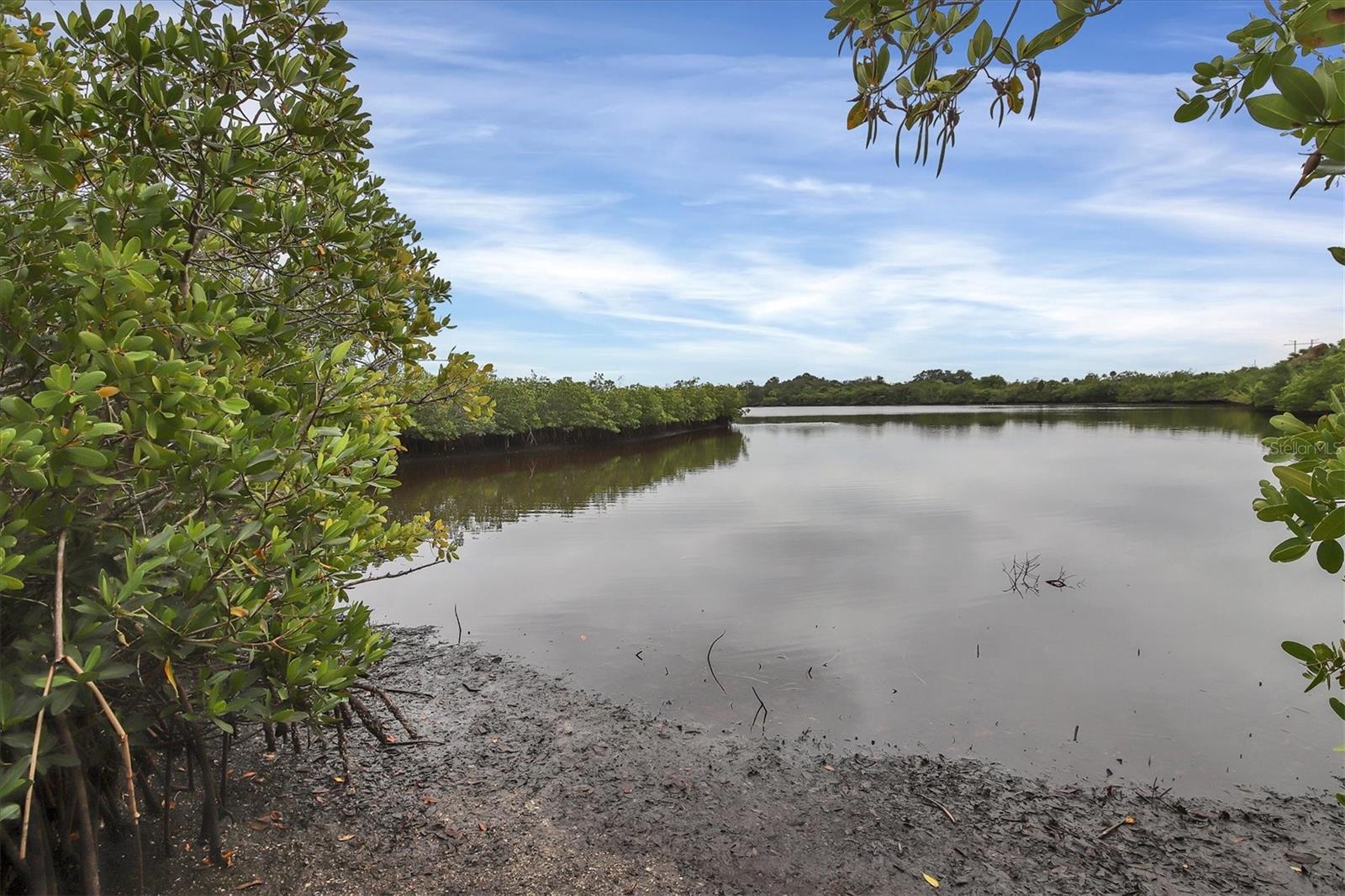 5609 Tidewater Preserve Blvd, Bradenton, FL 34208