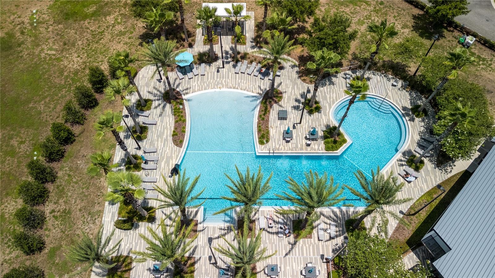 2443 Portico St, Odessa, FL 33556
