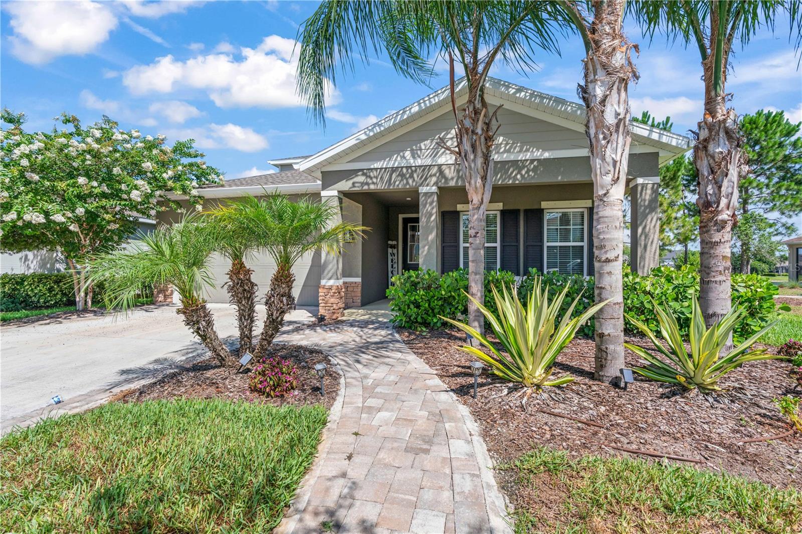 2443 Portico St, Odessa, FL 33556