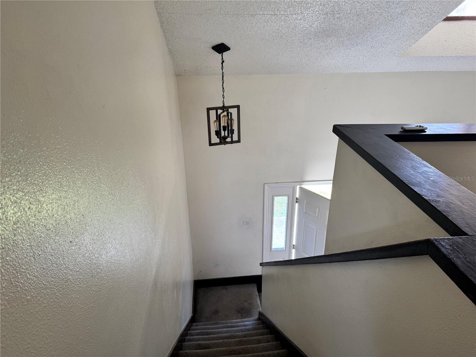 717 Gasparino Ct, Seffner, FL 33584