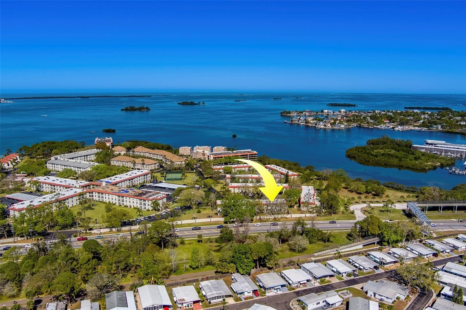 2700 Bayshore Blvd #588, Dunedin, FL 34698
