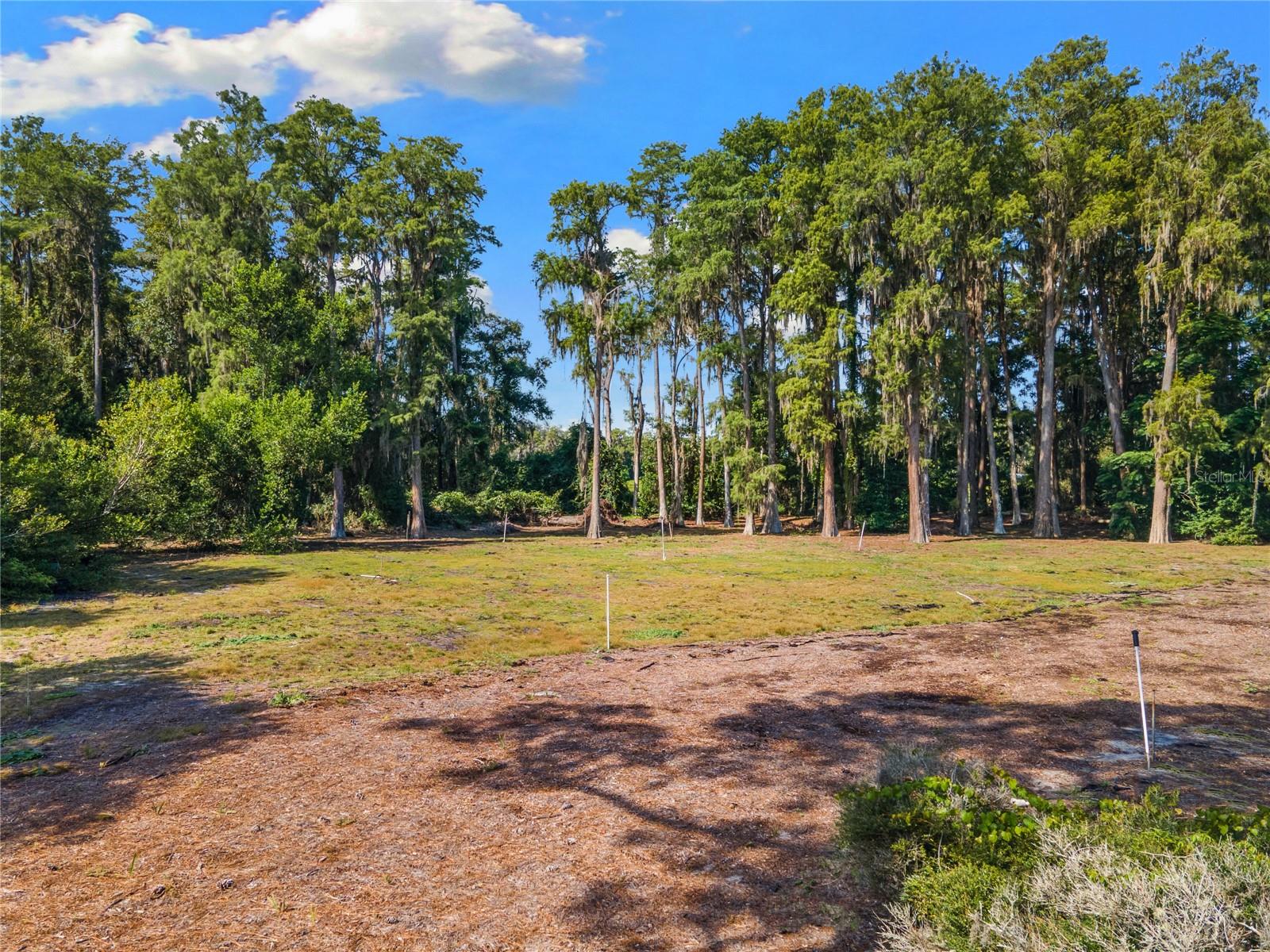 18150 Burrell Rd, Odessa, FL 33556