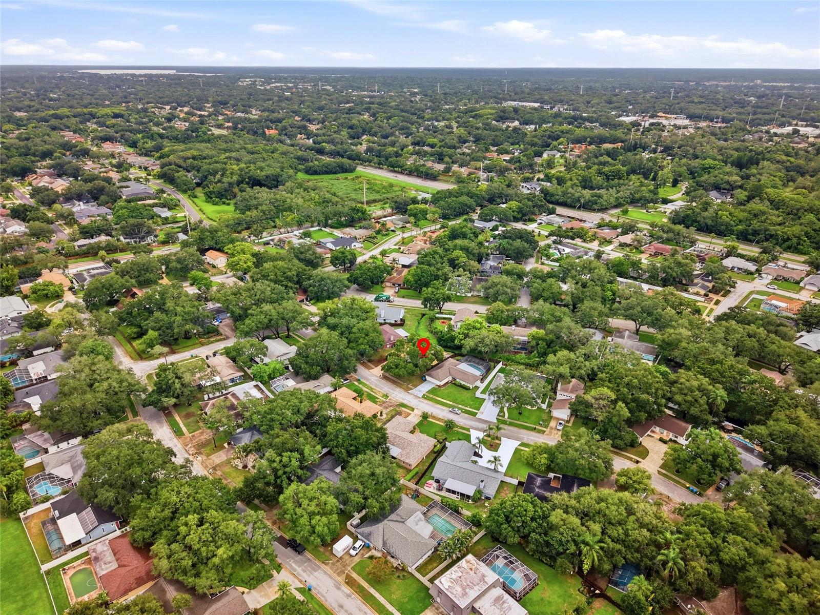 828 Woodland Dr, Palm Harbor, FL 34683