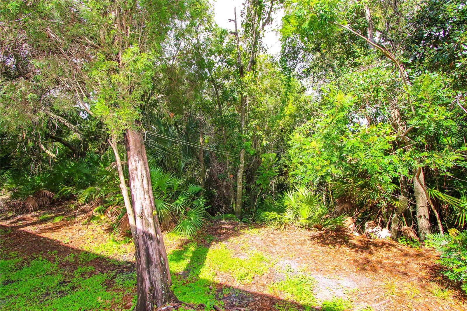 2722 Conch Hollow Dr, Brandon, FL 33511