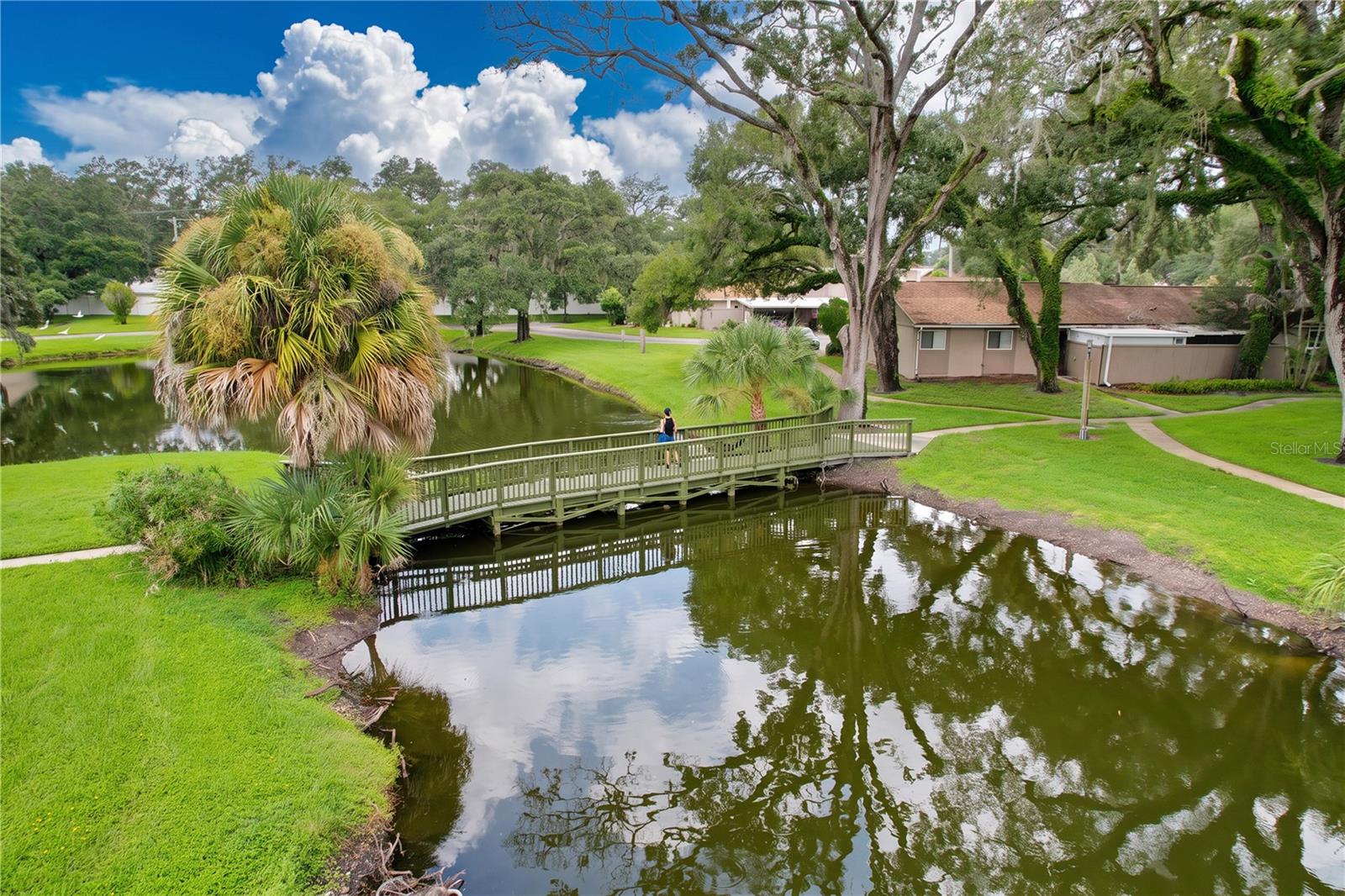 7907 Sabal Dr, Temple Terrace, FL 33637