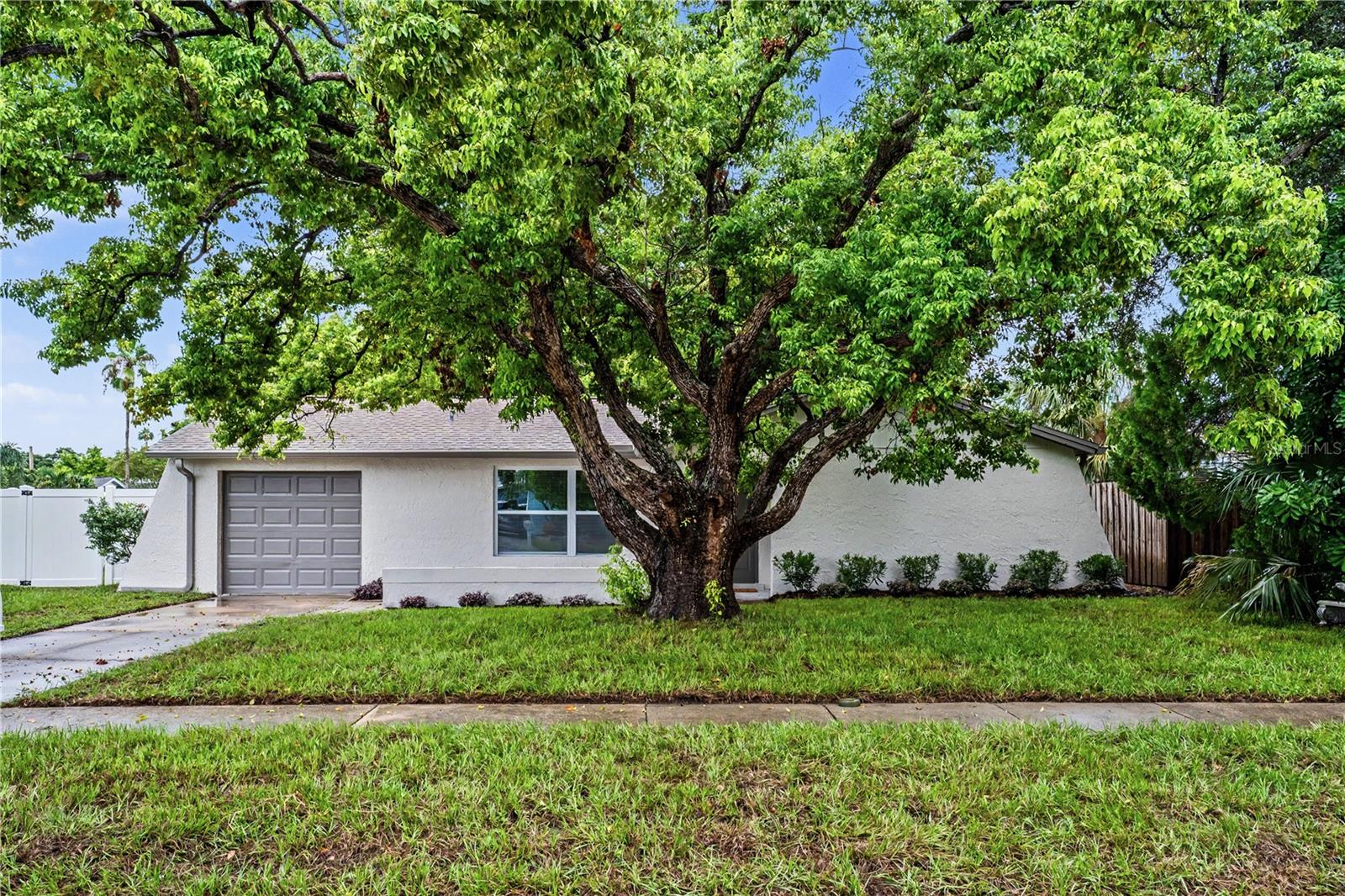 11928 Temple Ct, Seminole, FL 33772