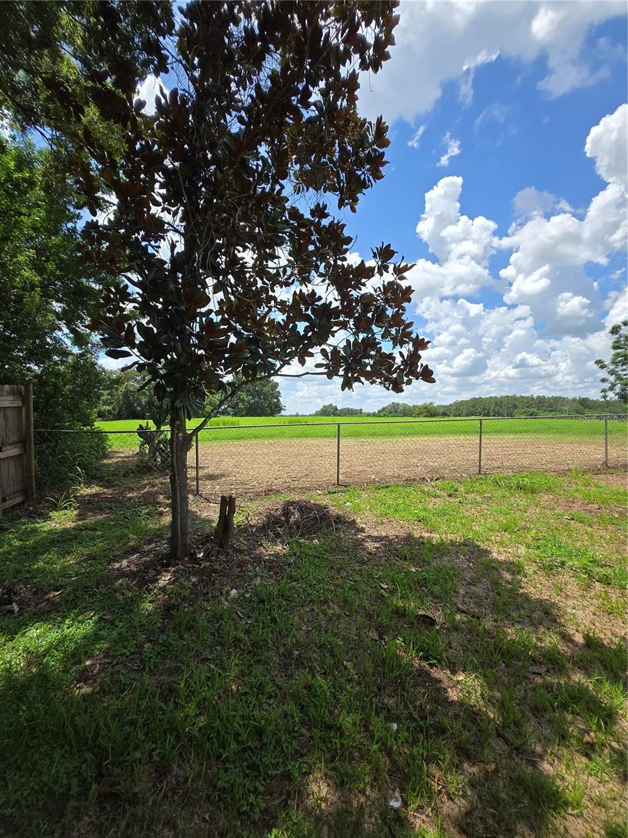 37406 Vista Dr, Dade City, FL 33523