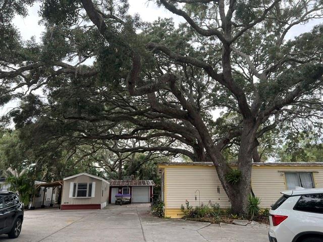 1045 Hickory Ln, Holiday, FL 34691