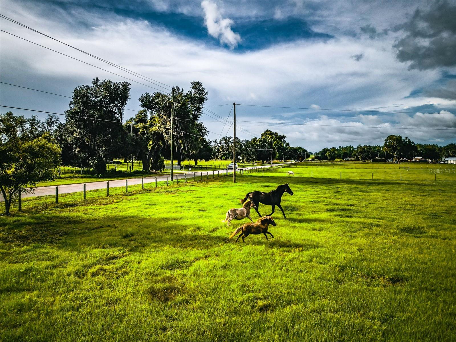 16736 Powerline Rd, Dade City, FL 33523