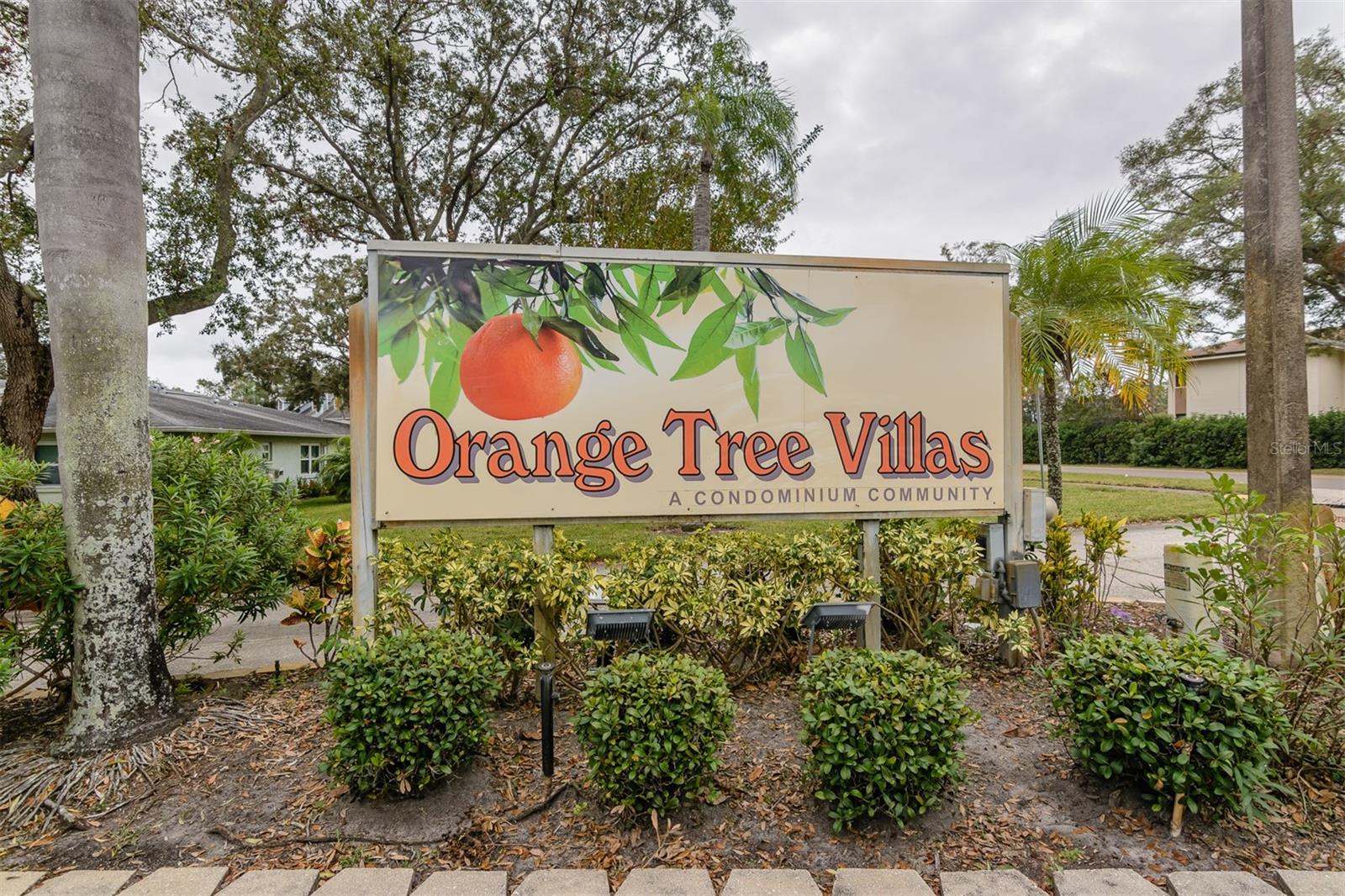 1139 Orange Tree Cir E #A, Palm Harbor, FL 34684