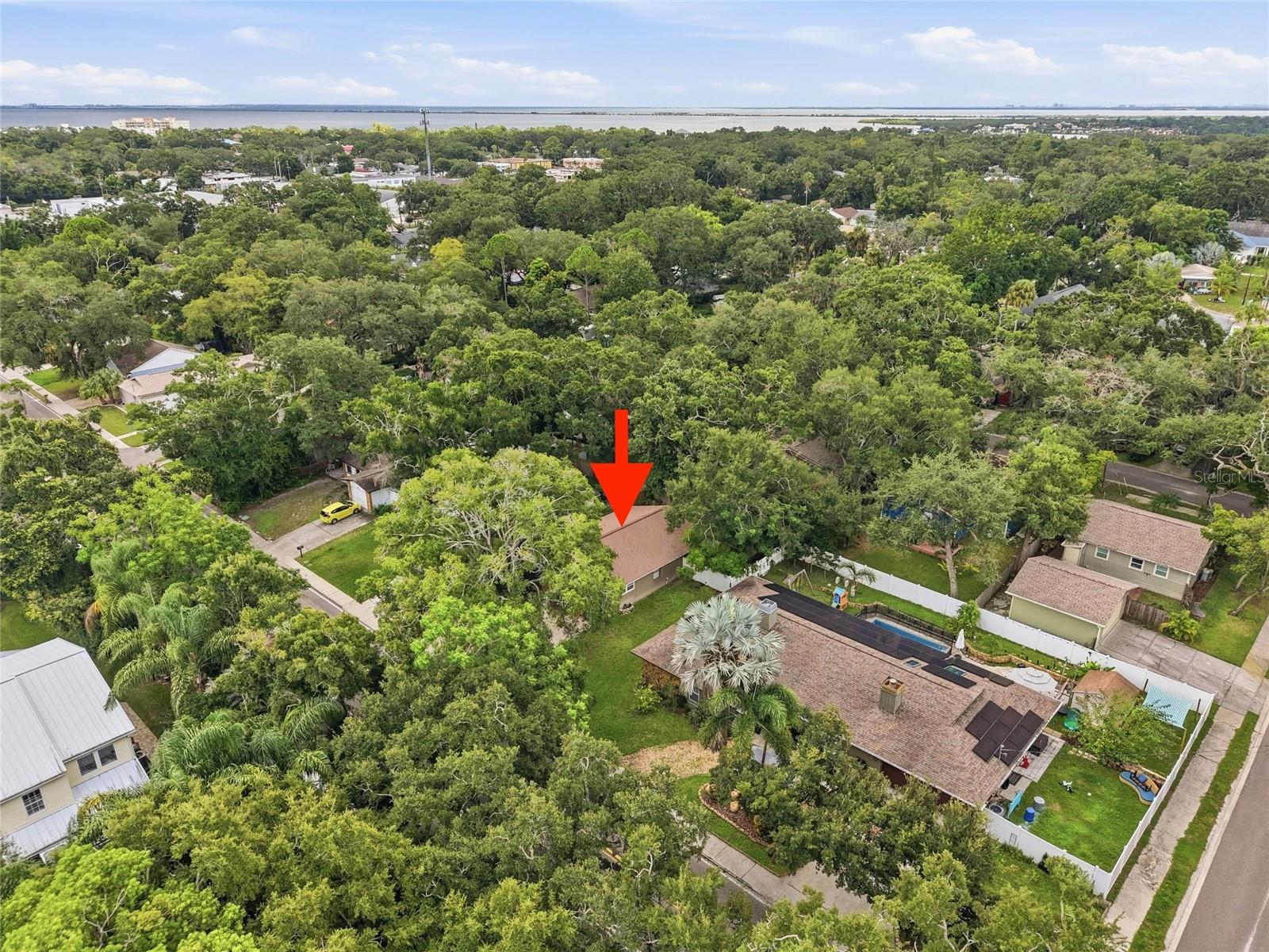 1140 Dr Ml King Jr St N, Safety Harbor, FL 34695