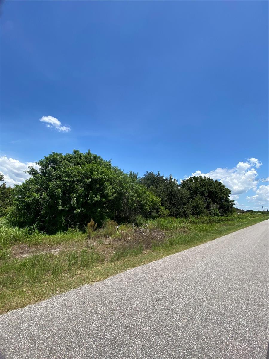 12532 Andrews Rd, Wimauma, FL 33598