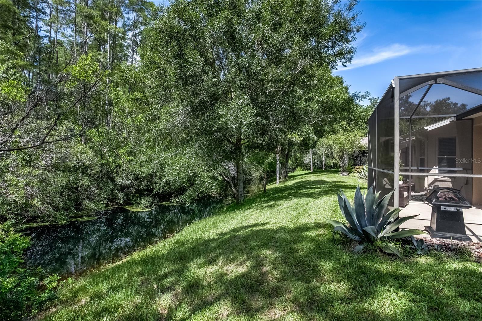 7235 Cleopatra Dr, Land O Lakes, FL 34637