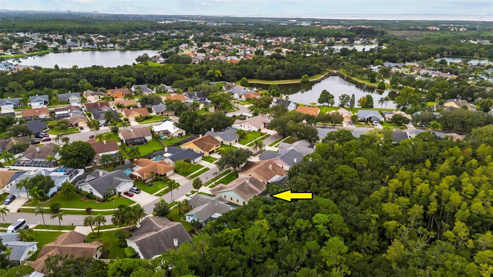 11910 Steppingstone Blvd, Tampa, FL 33635