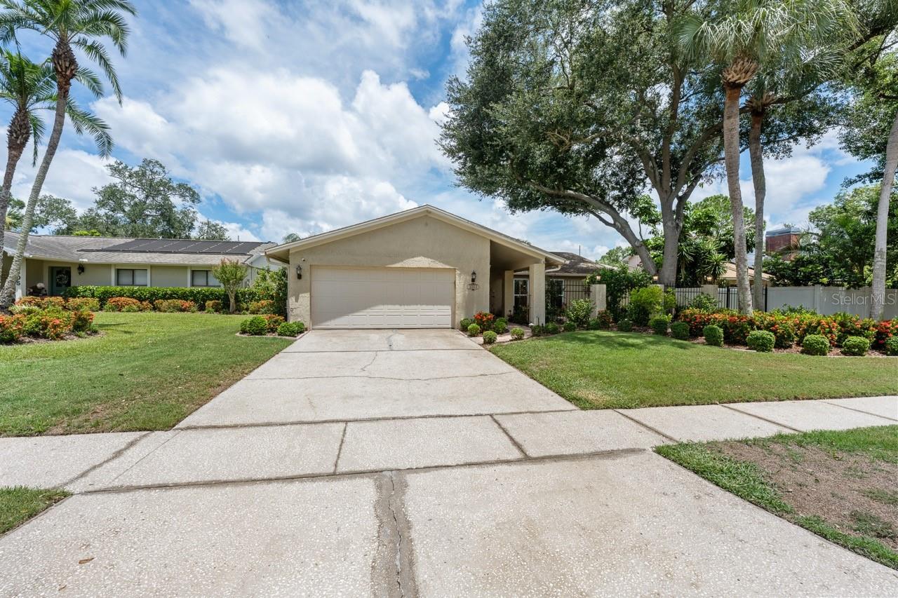 3303 El Amador Ct, Tampa, FL 33614