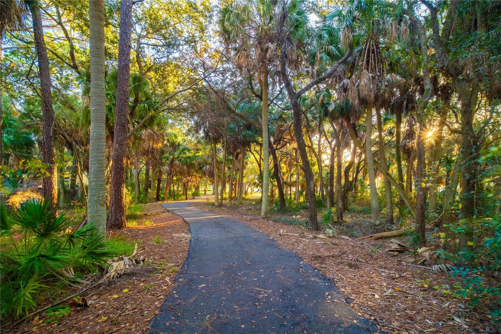 508 Washington Ave, Oldsmar, FL 34677