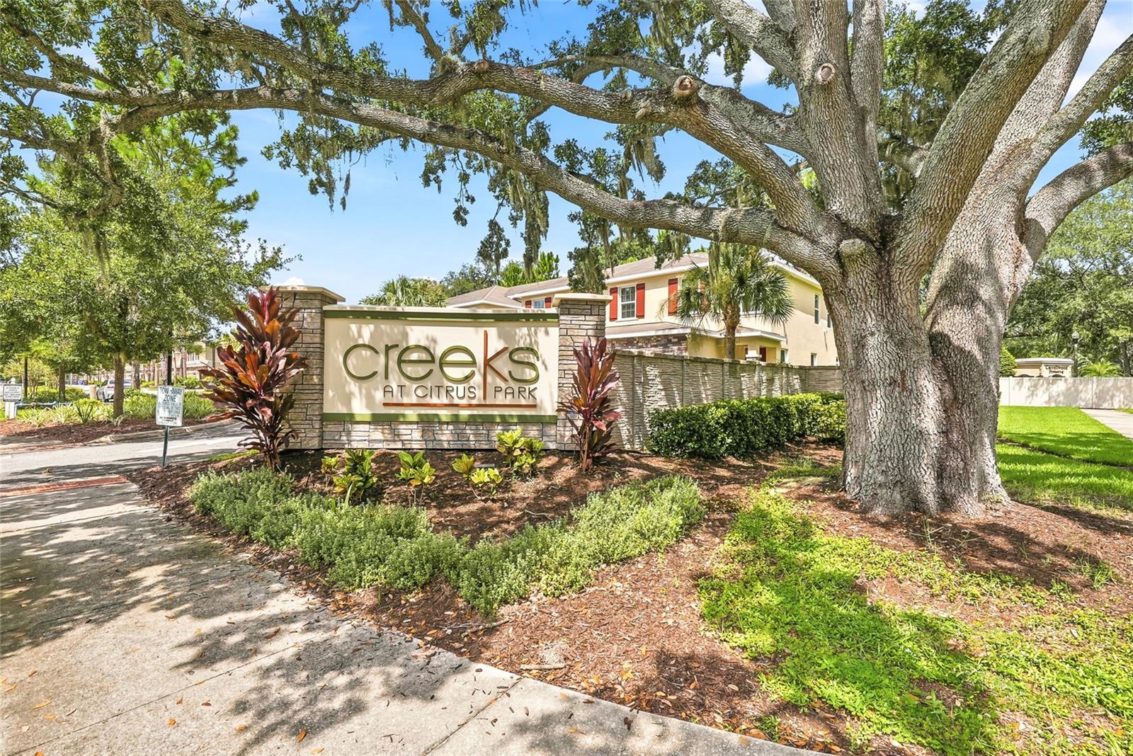 13105 Canopy Creek Dr, Tampa, FL 33625