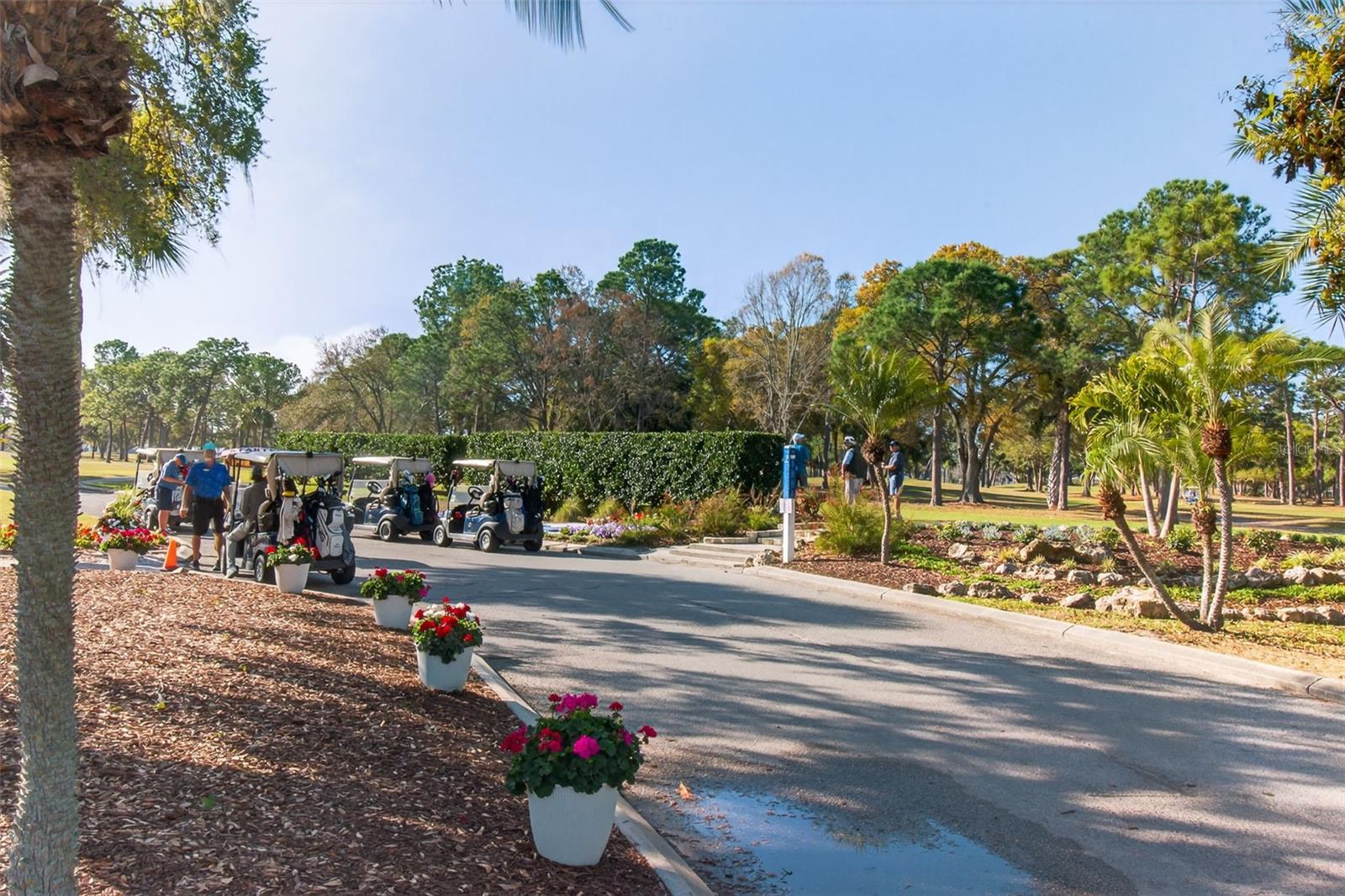 2621 Cove Cay Dr #802, Clearwater, FL 33760