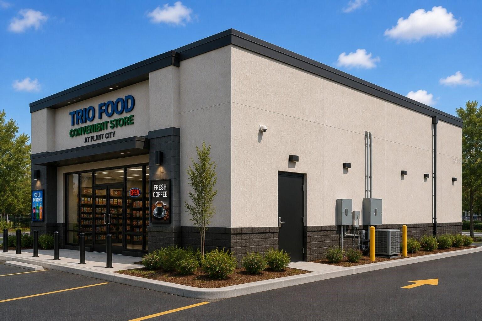 1106 S Collins St, Plant City, FL 33563