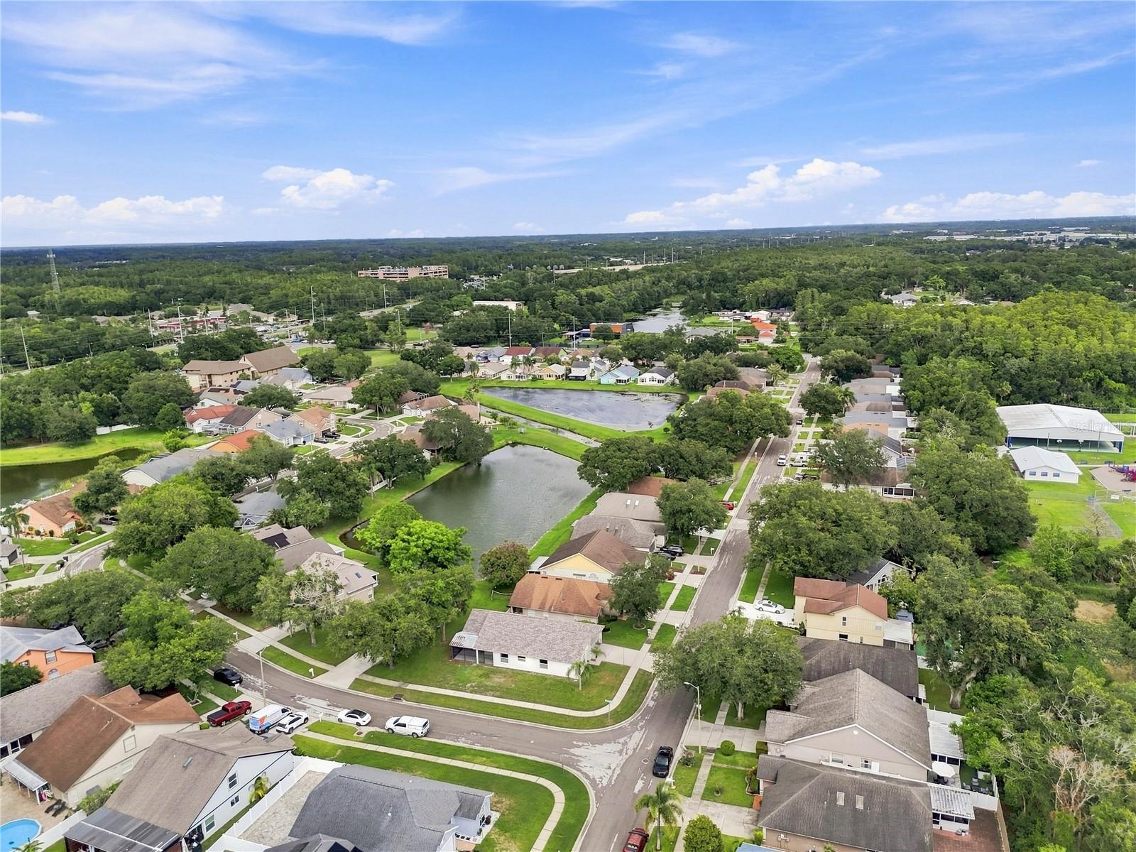 7736 Marbella Creek Ave, Tampa, FL 33615