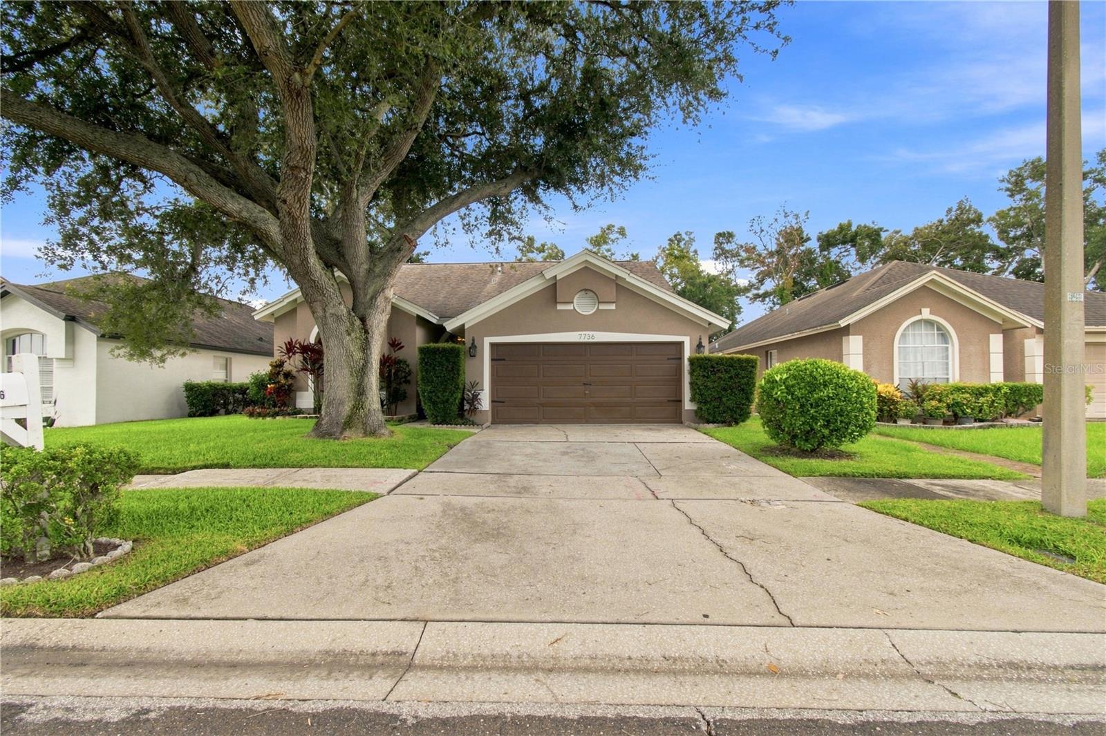 7736 Marbella Creek Ave, Tampa, FL 33615