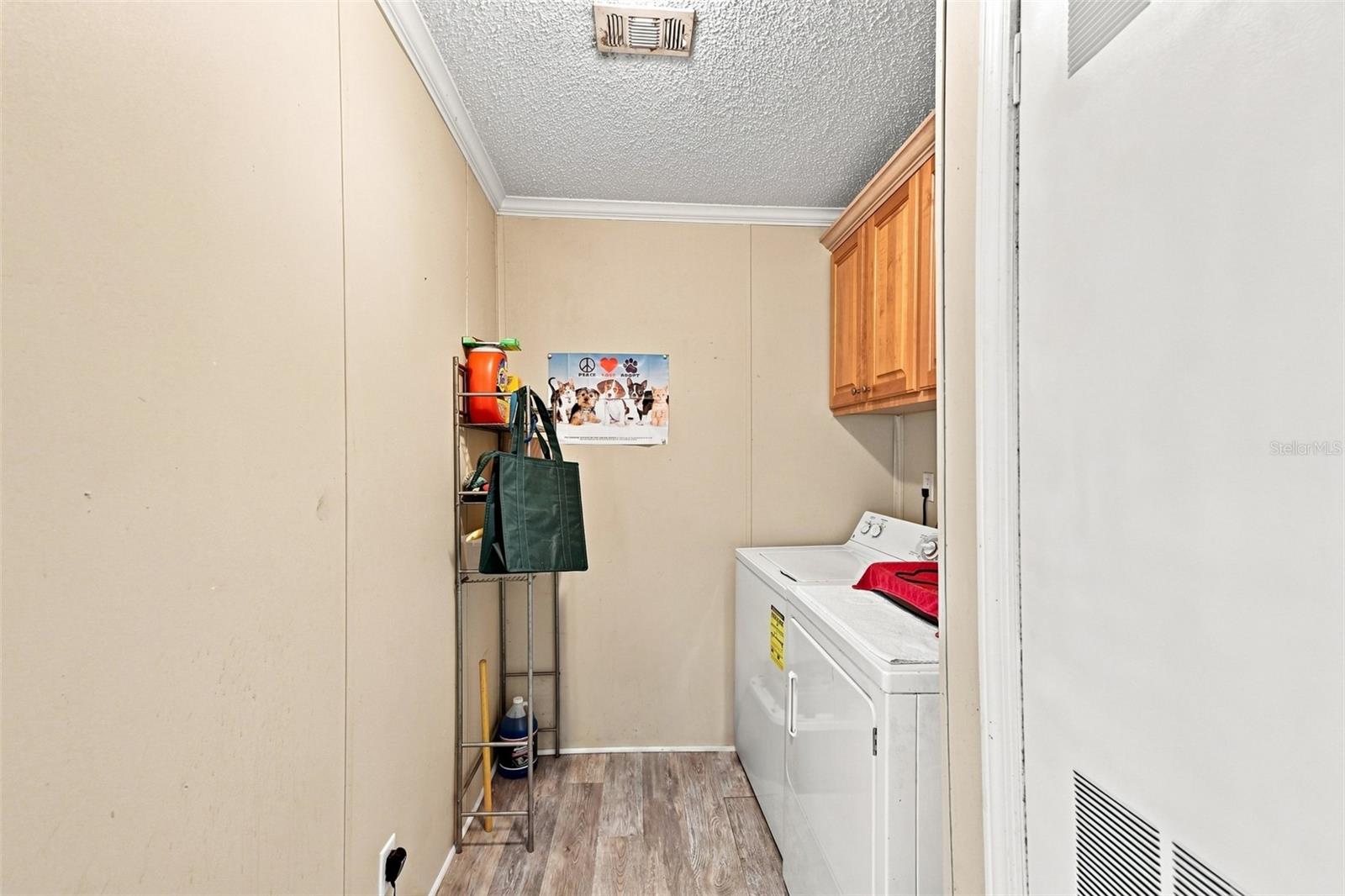 8329 Fantasia Park Way, Riverview, FL 33578