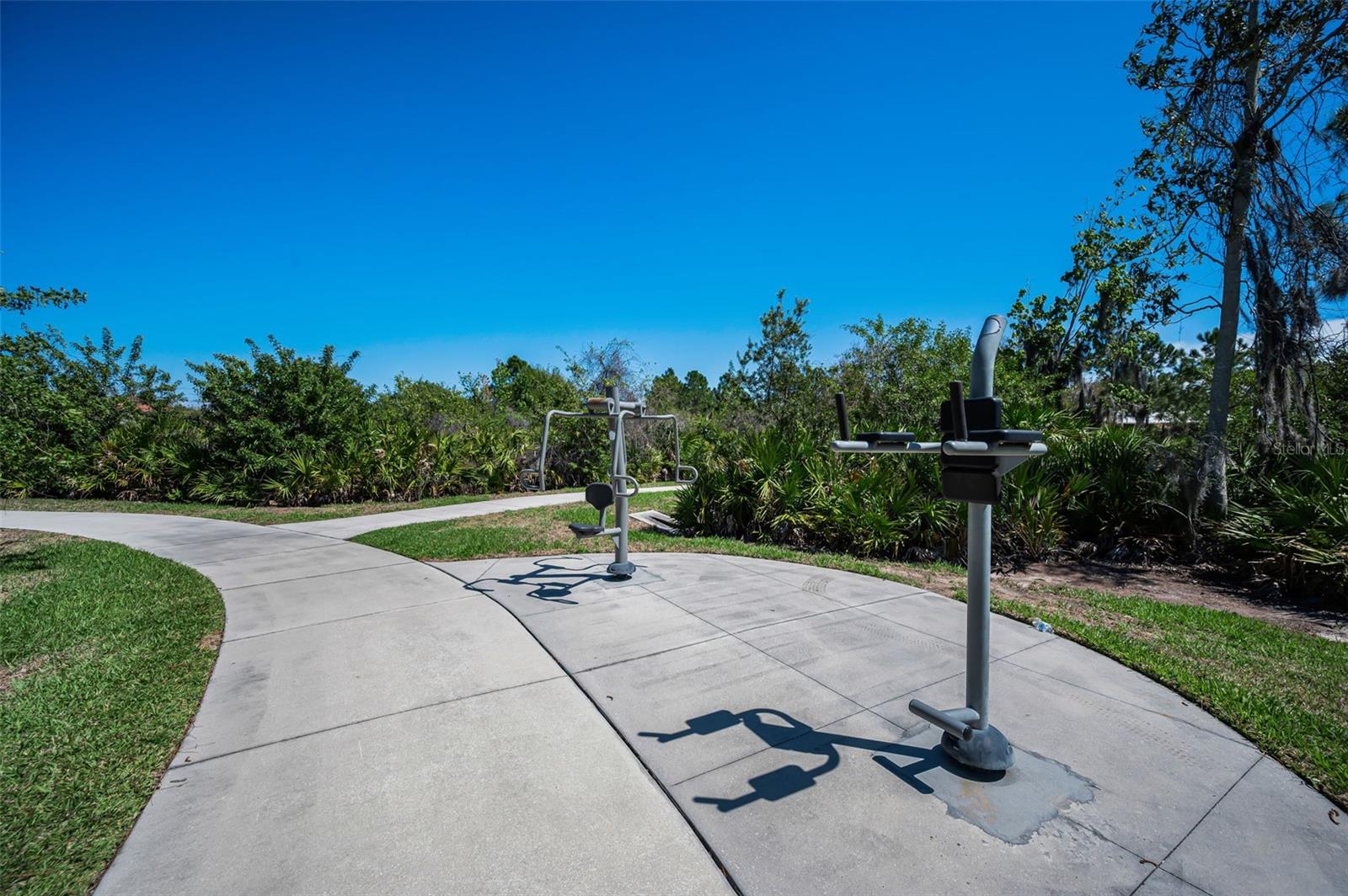 11923 Cinnamon Fern Dr, Riverview, FL 33579