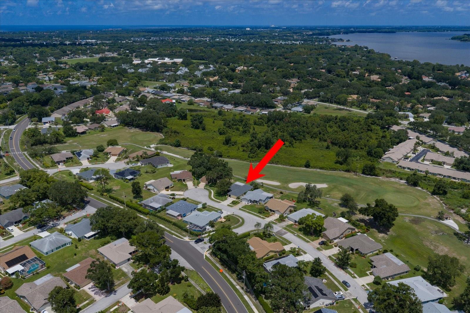 3495 W Links Ct, Palm Harbor, FL 34684