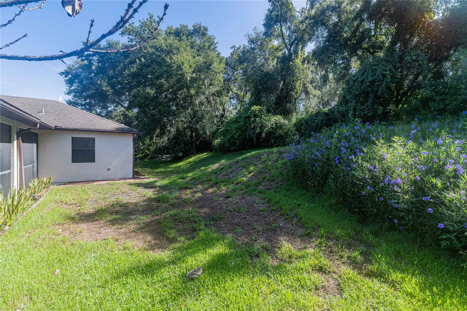 8834 Alafia Cove Dr, Riverview, FL 33569