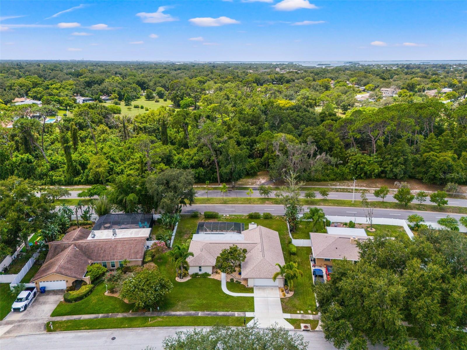 940 Rolling Hills Dr, Palm Harbor, FL 34683