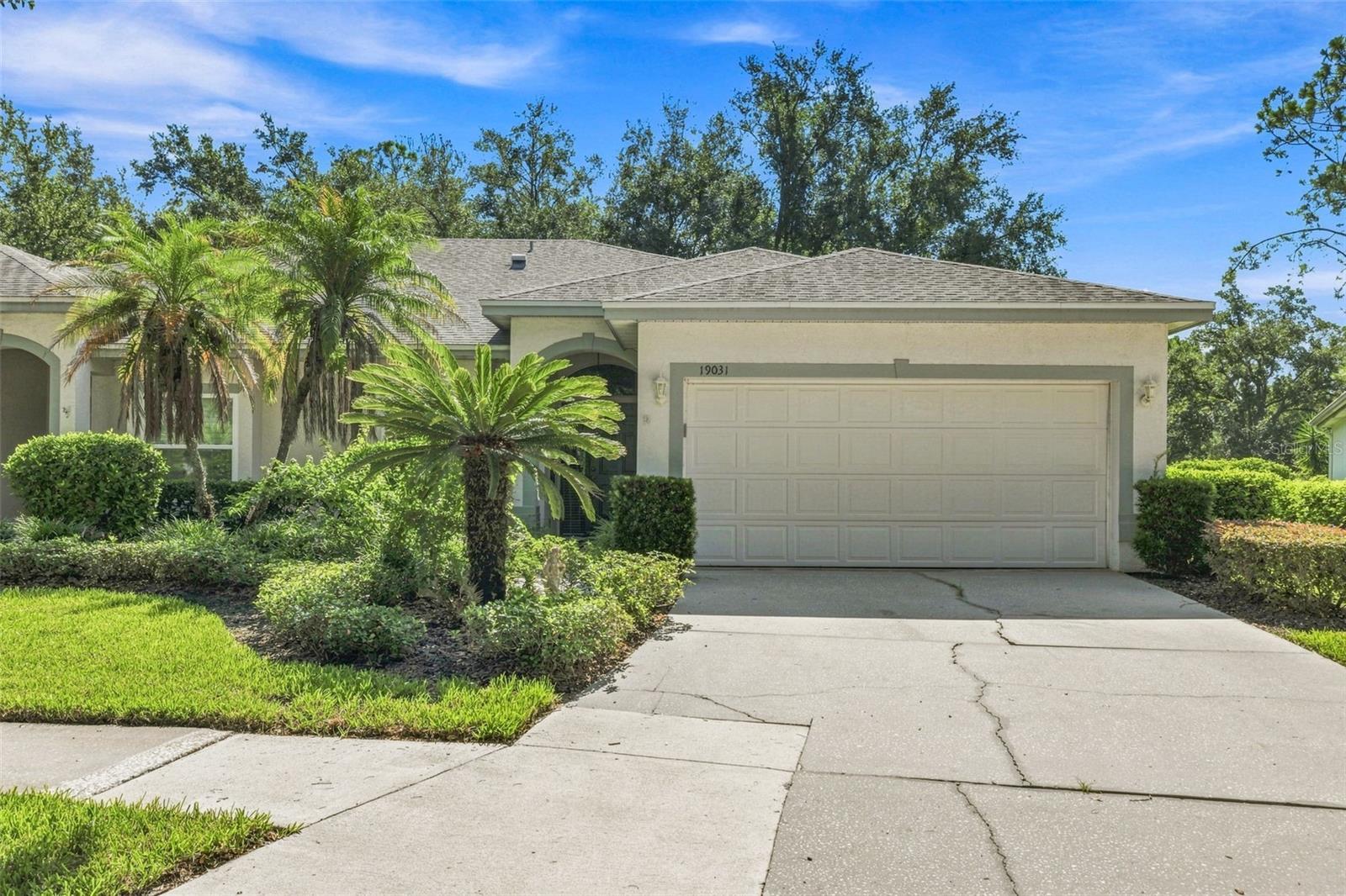 19031 Callaway Ct, Tampa, FL 33647