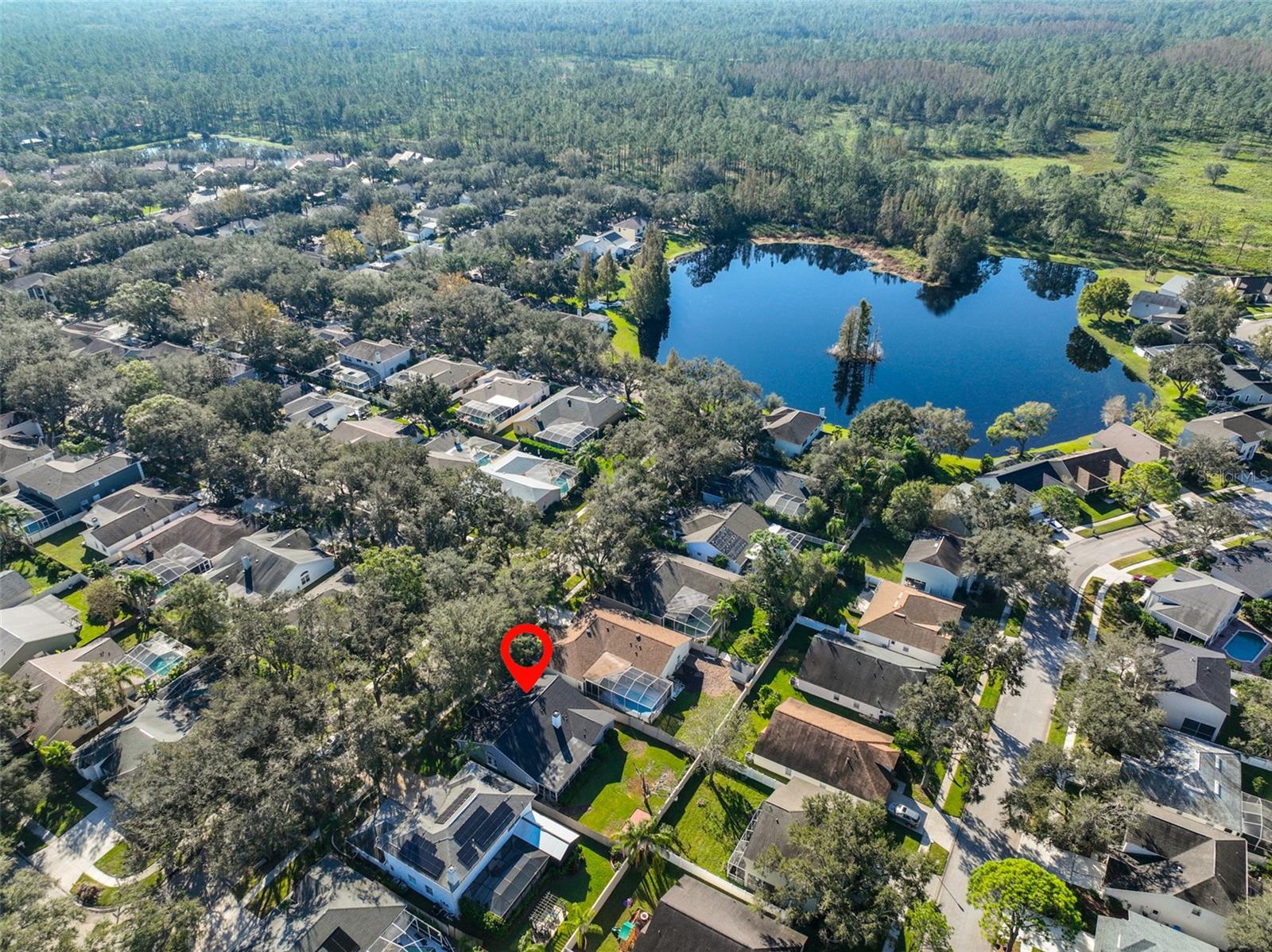 9309 Hampshire Park Dr, Tampa, FL 33647