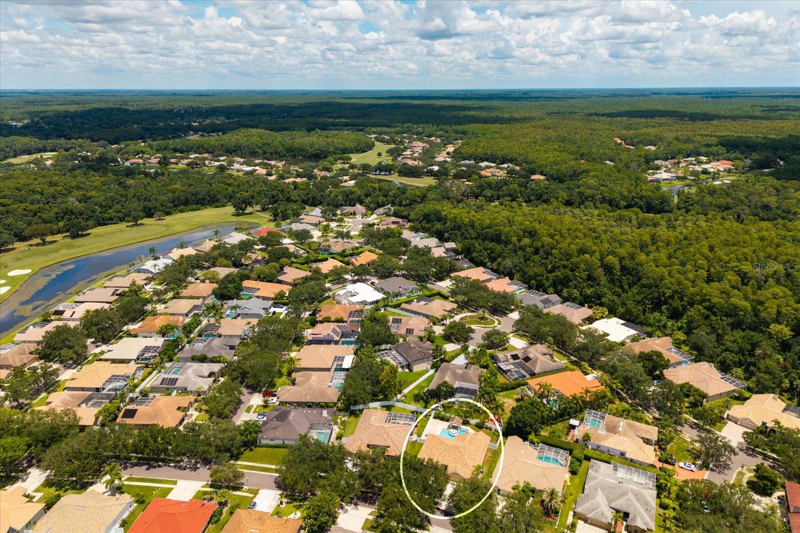 1723 Captiva Dr, Oldsmar, FL 34677